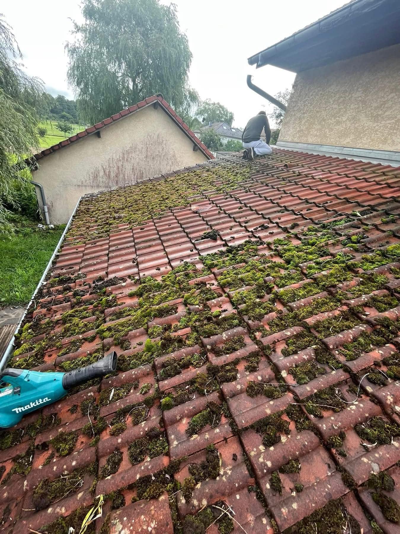 Nettoyage de la mousse sur le toit